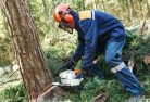 Milparatree-cutting-services-21.jpg; ?>